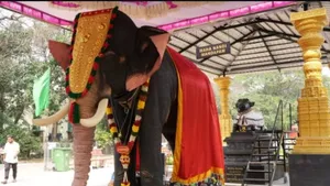 Madras High Court sets aside ban on temples acquiring elephants, upholds Lalitha’s welfare orders